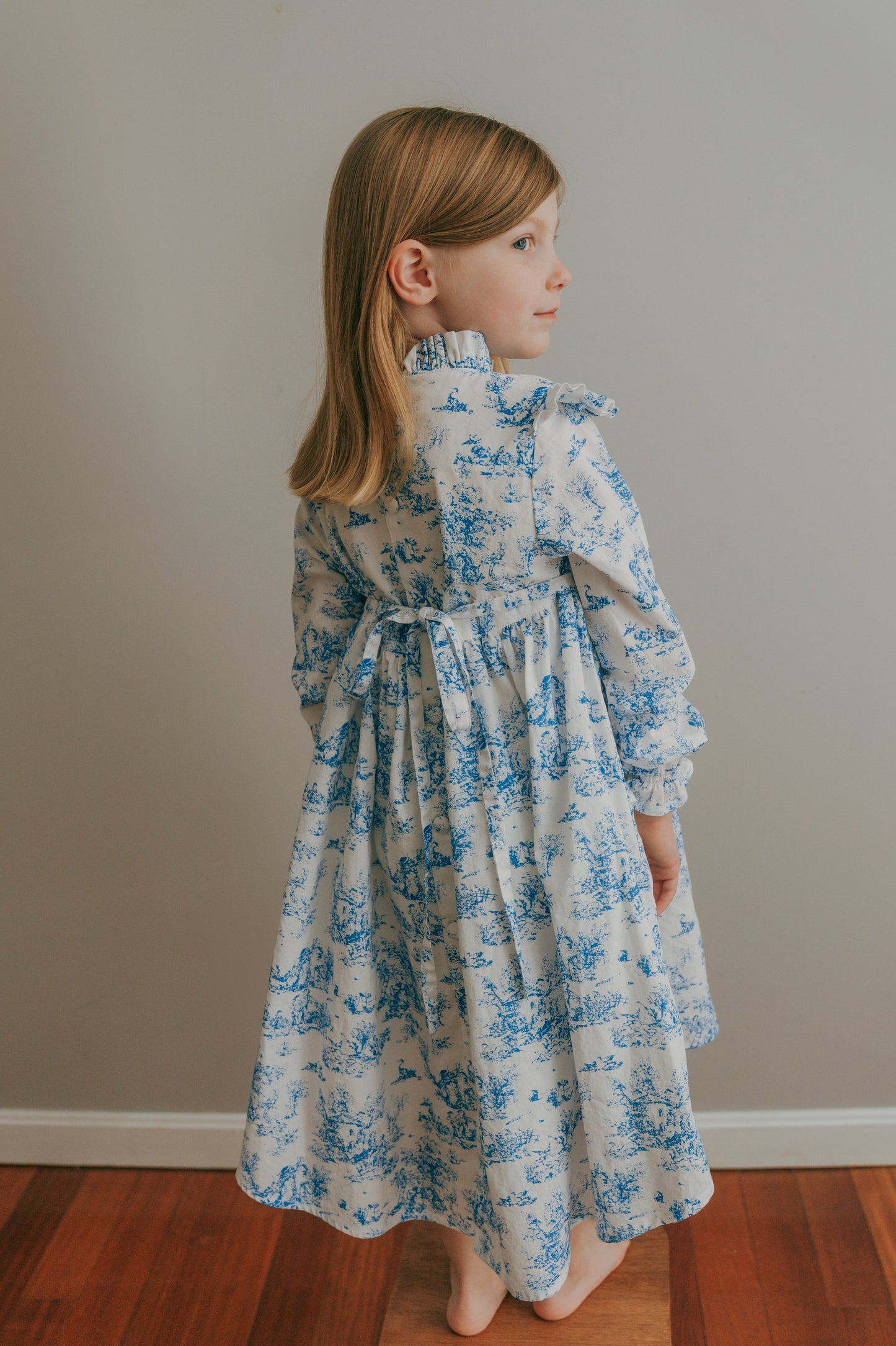 Aoki Dress-Blue Toile | Long Sleeve