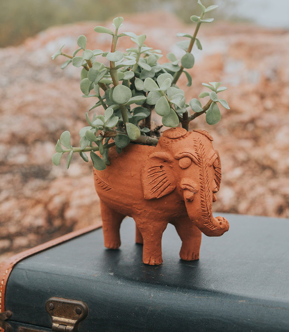 Rakshana Elephant Plant Pot - Terracotta - Osadia Concept Store