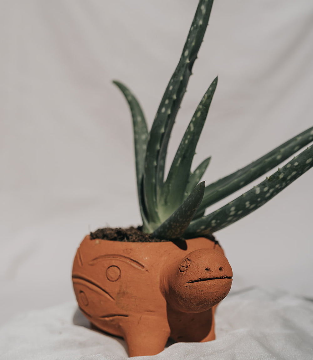 Rakshana Turtle Plant Pot - Terracotta - Osadia Concept Store