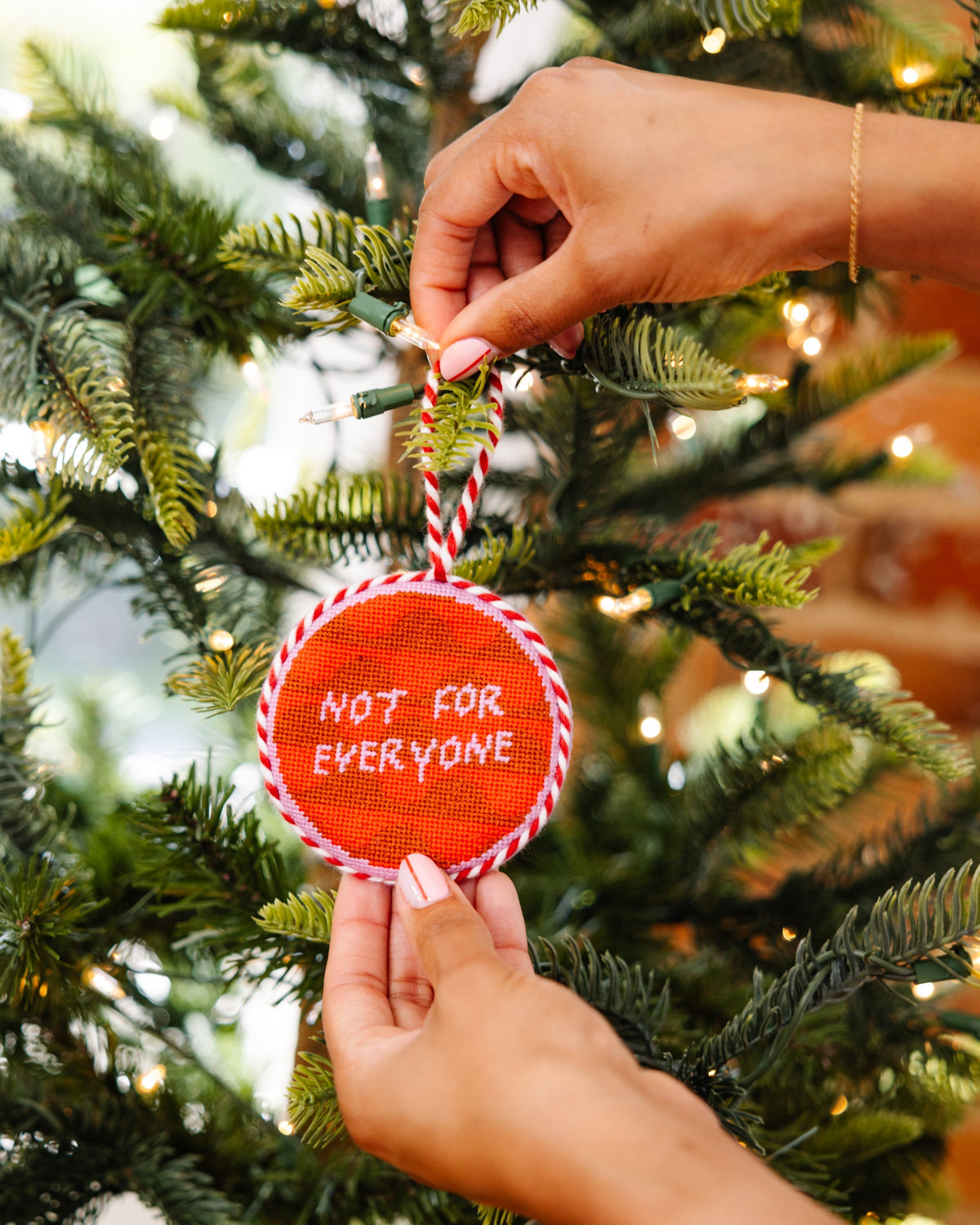 Needlepoint Ornament - Not For Everyone