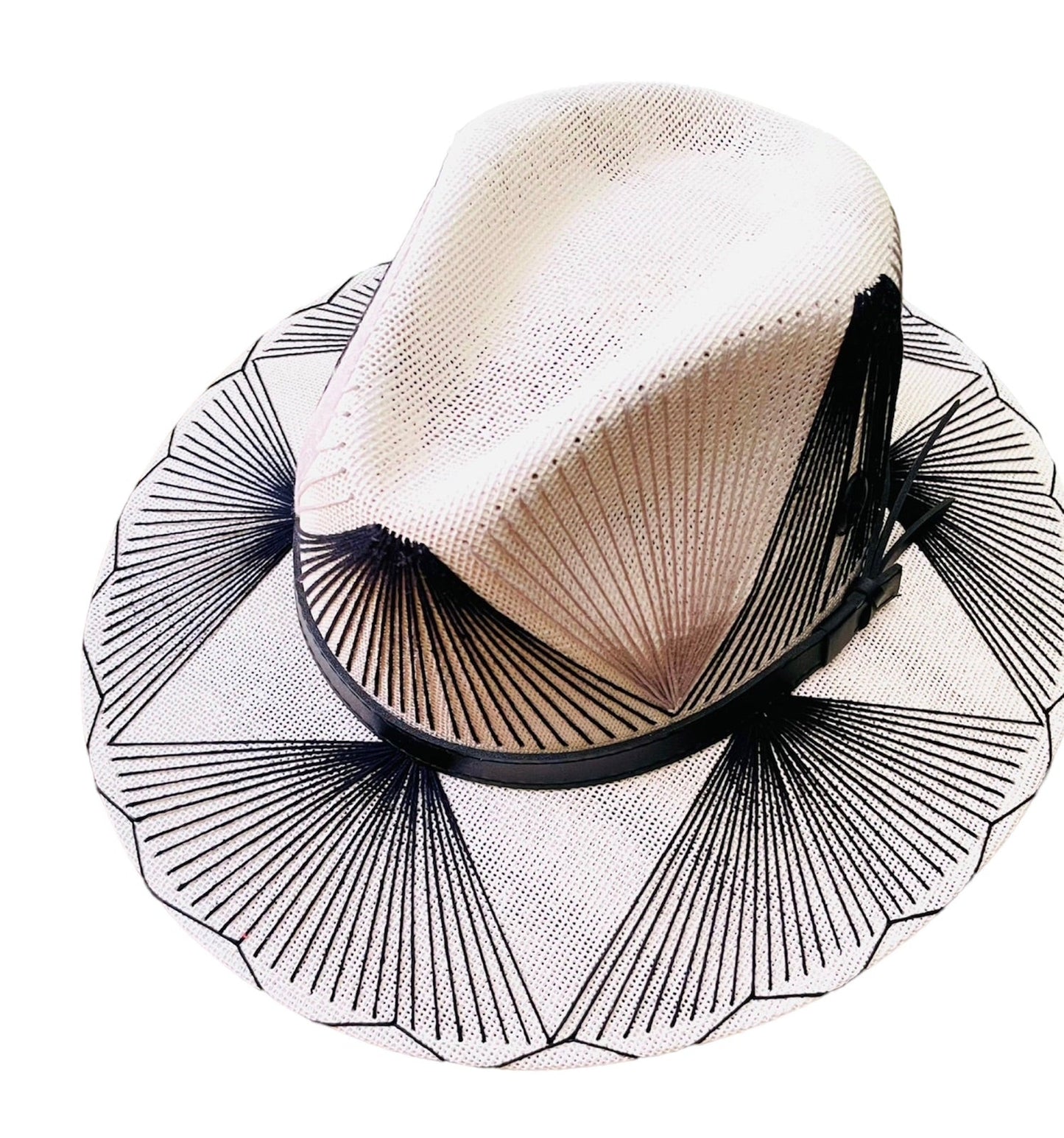 Agave Embroidered Hat