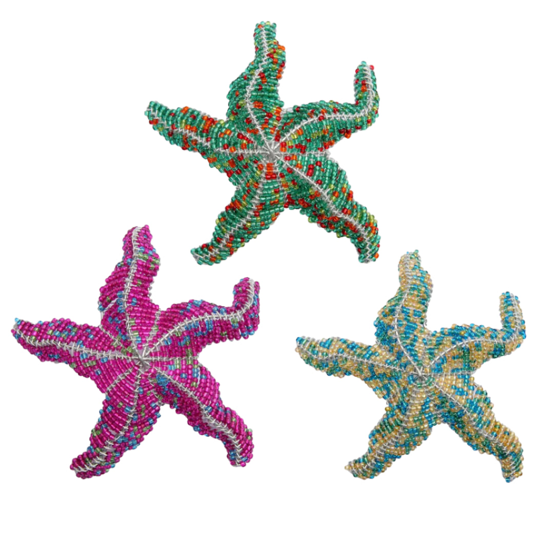 Starfish, Sm  Asst (Set of 3)