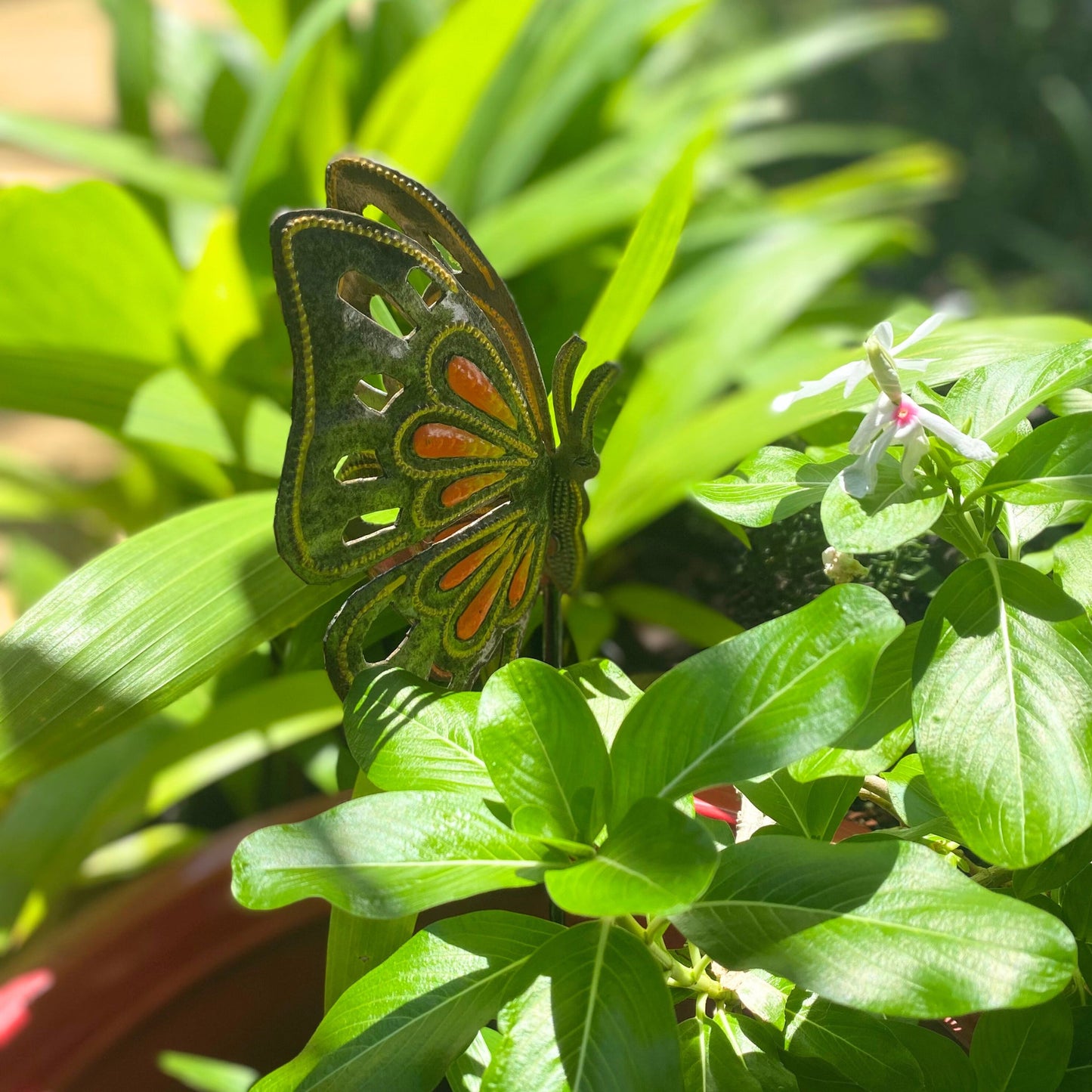 Orange Butterfly Stake