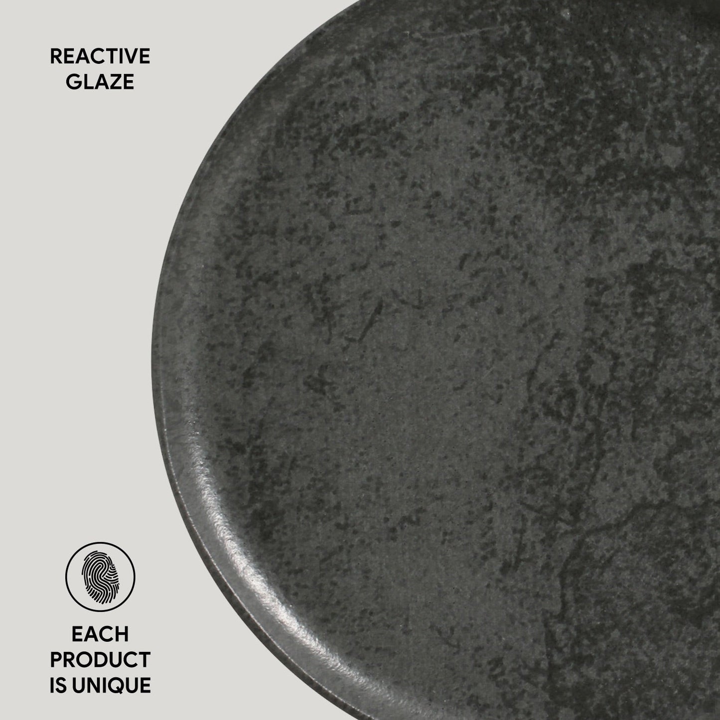 Dinner Plate Set of 6