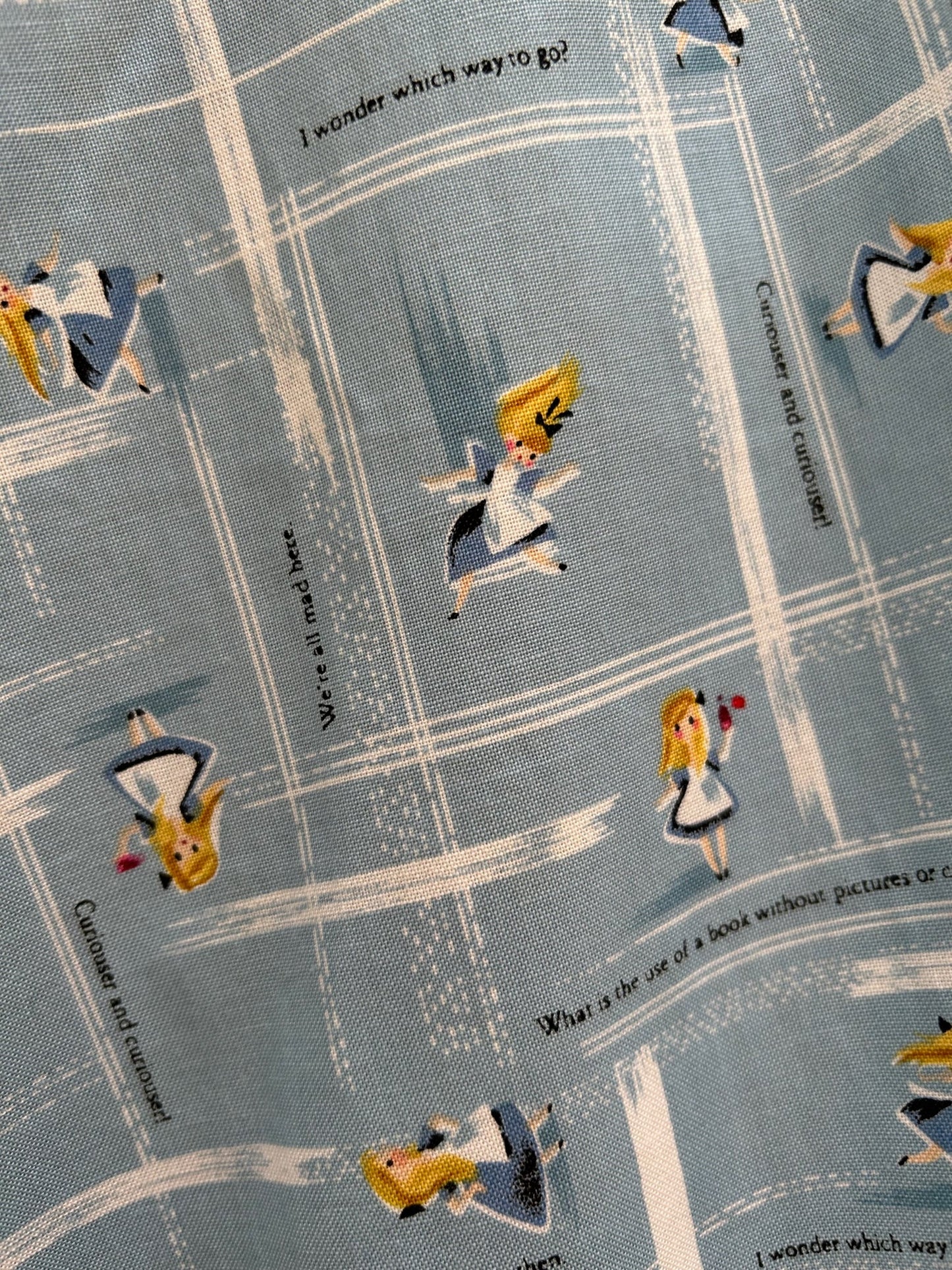 Wonderland Skater Skirt