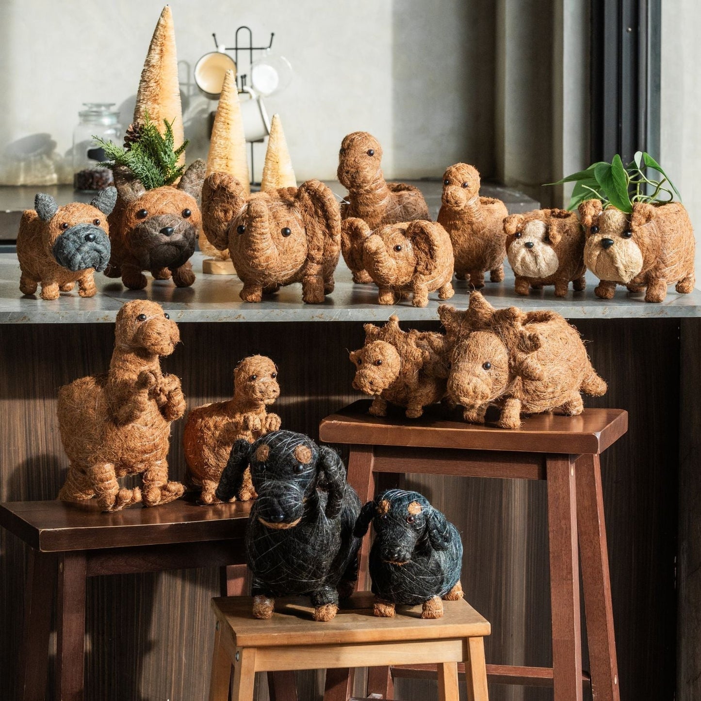 Baby T-Rex Planter - Handcrafted Pots | LIKHÂ