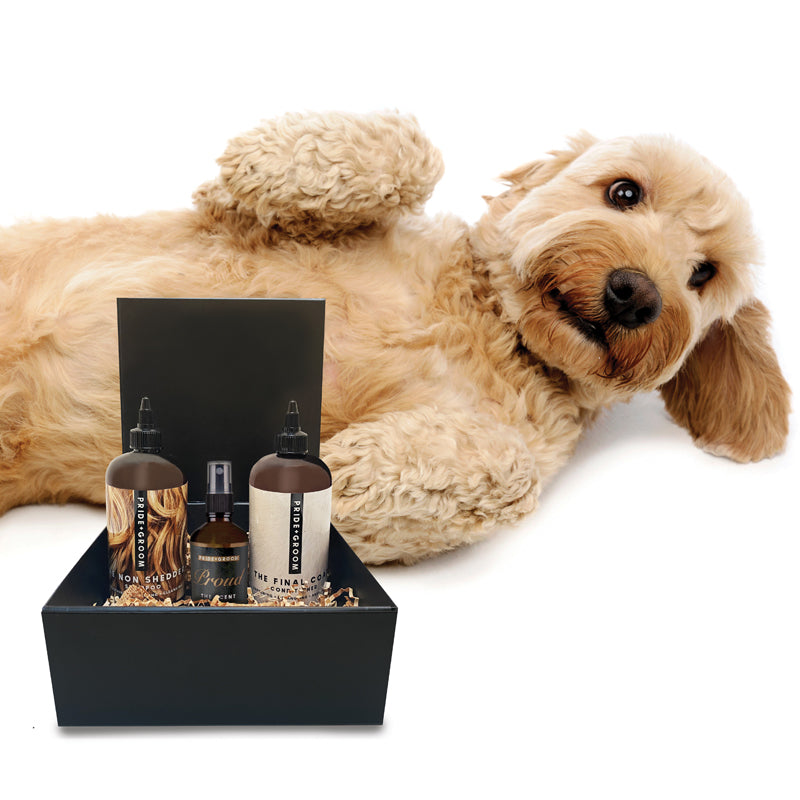 THE LUXE GIFT SET — High-Quality Dog Grooming Set with Coat-Specific Shampoo & Conditioner and Gift Box