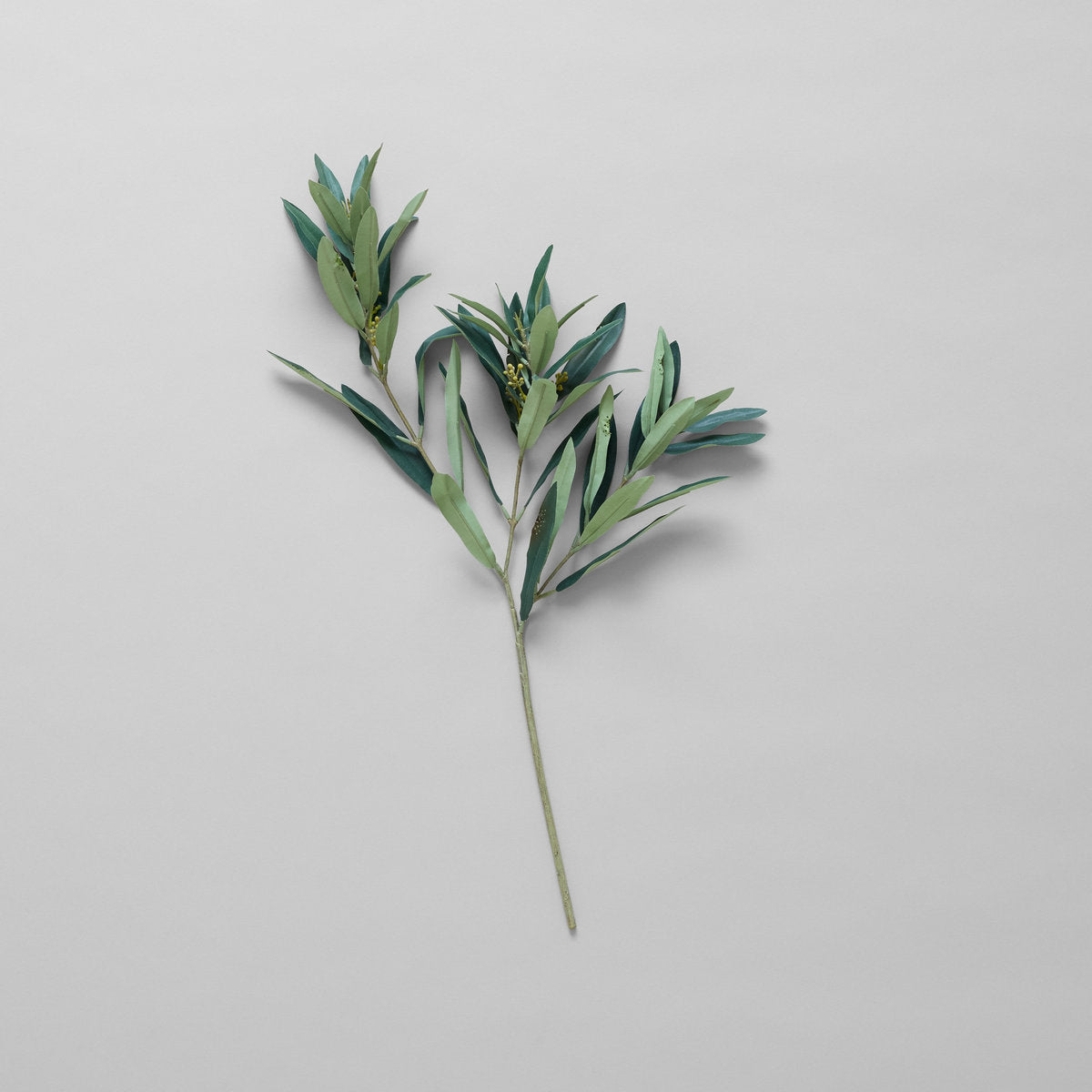 EcoFaux Arbequina Olive Spray