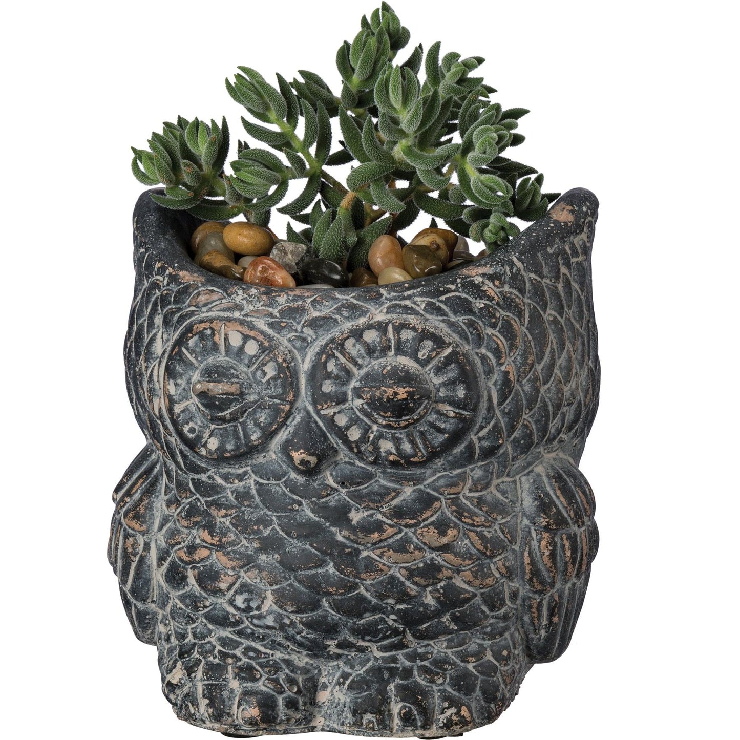 Cement Owl Planter in Dark Gray | Succulents Greenery Plant Pot | Decorative Indoor Outdoor Garden Décor