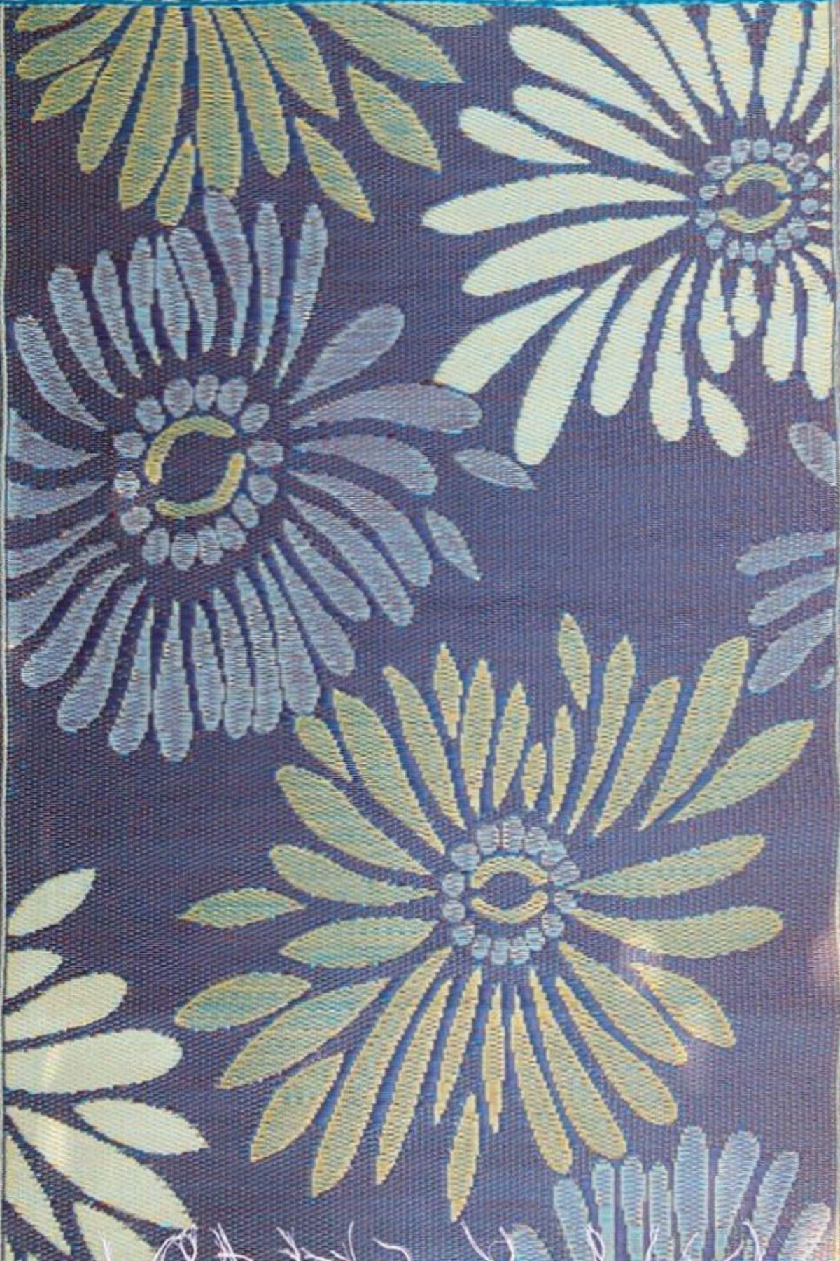 Daisy Blue