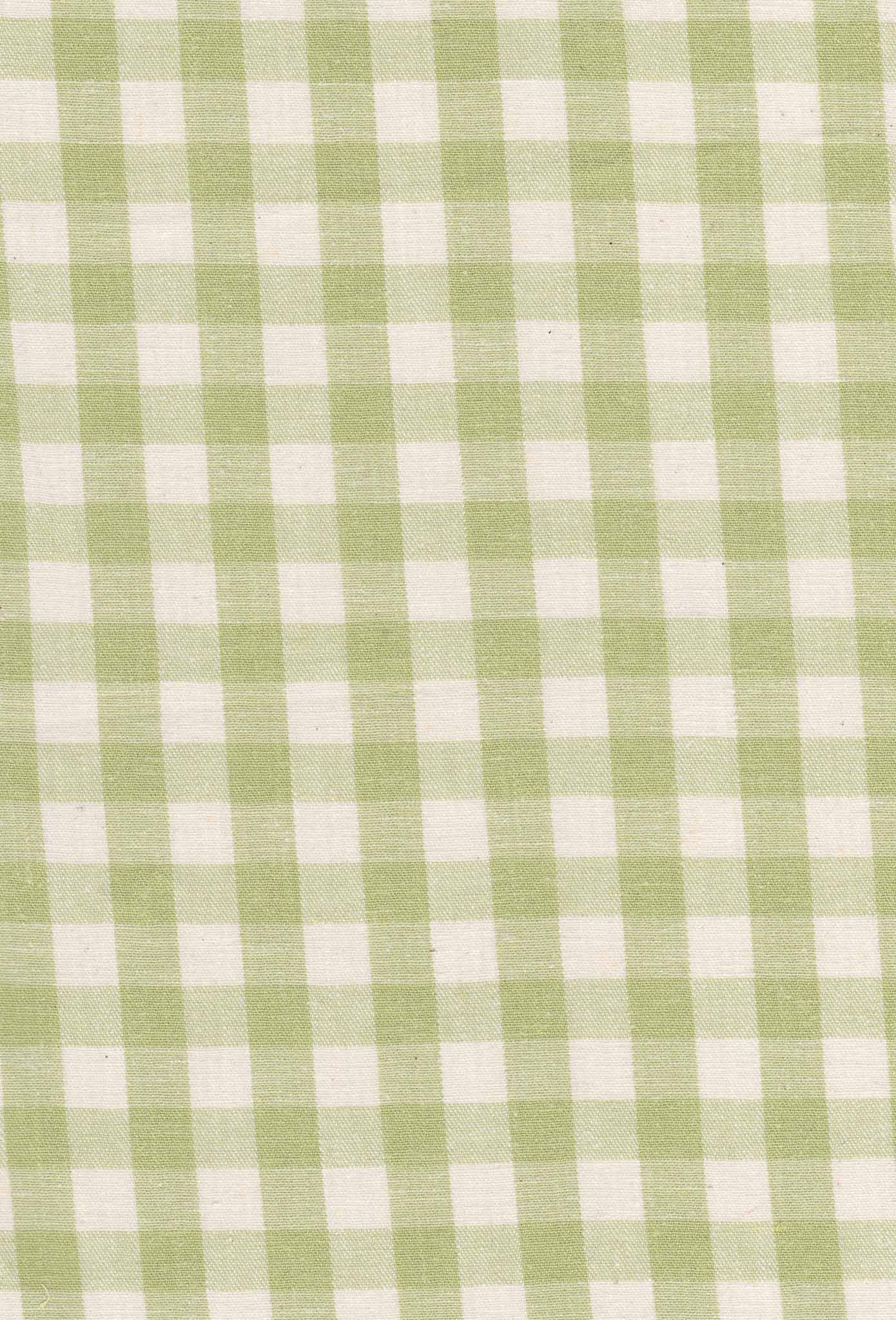 Sassafras Dress in Honeydew
