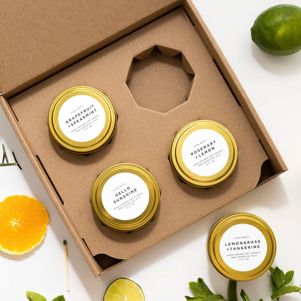 Fresh Collection - 4 Pack - Osadia Concept Store