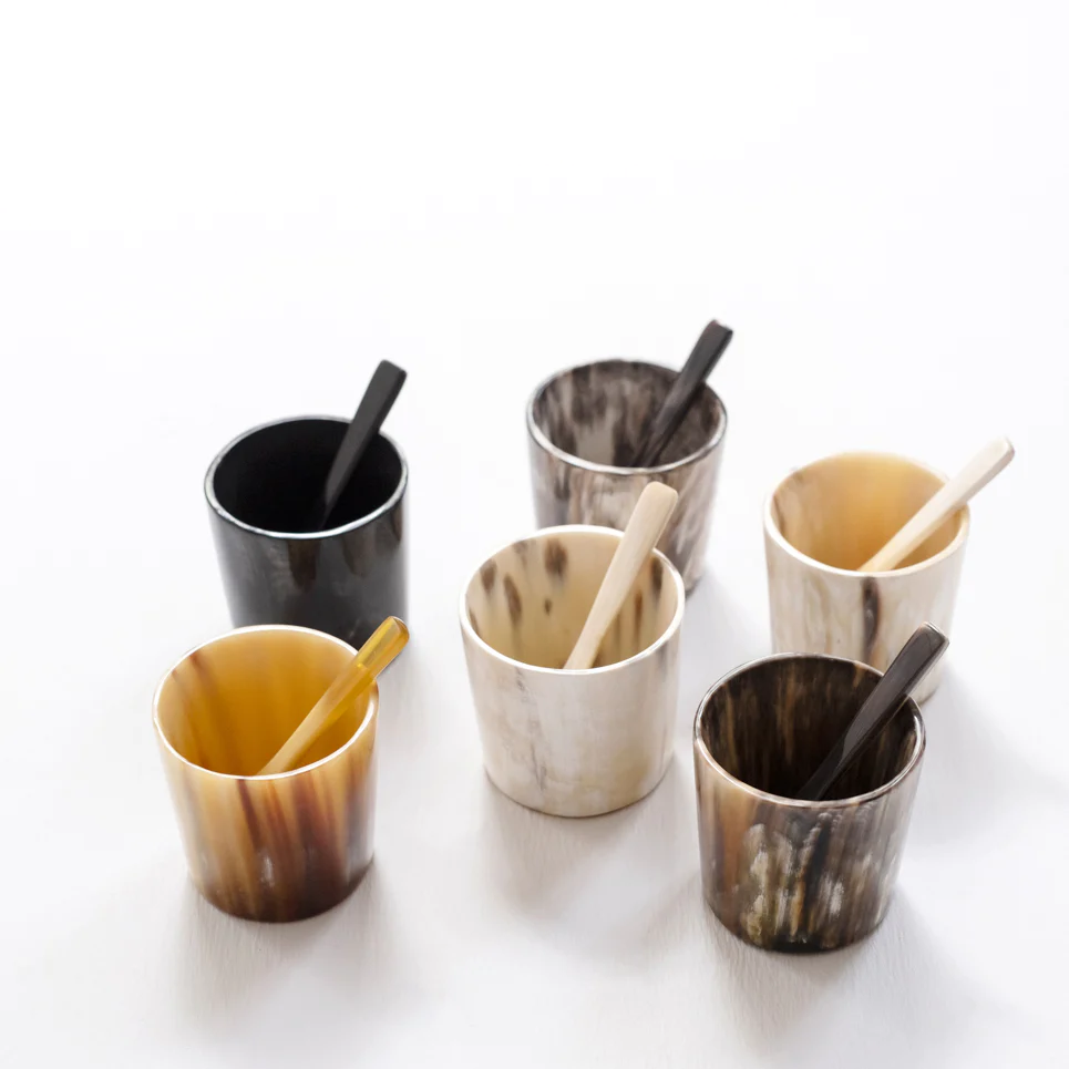 Ankole Horn Salt Cellar + Spoon Set