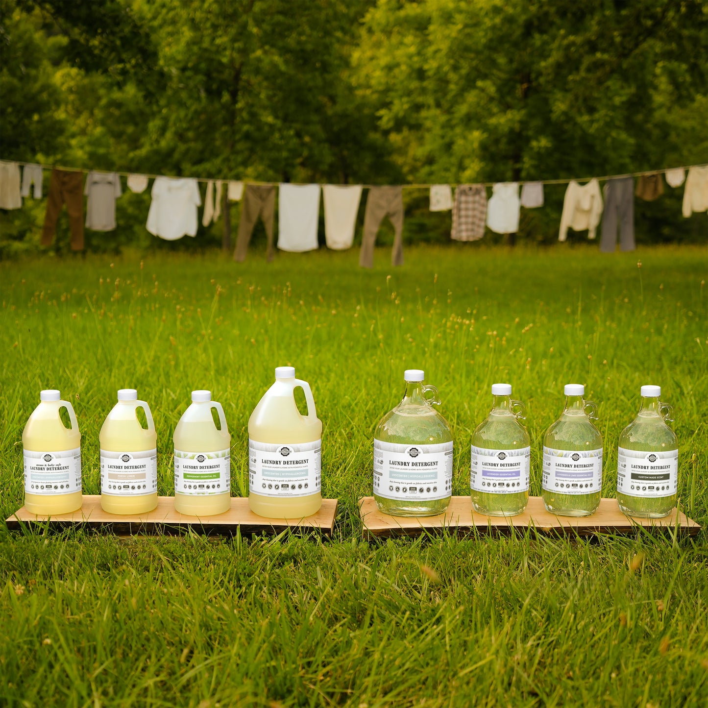 Laundry Detergent | Lavender