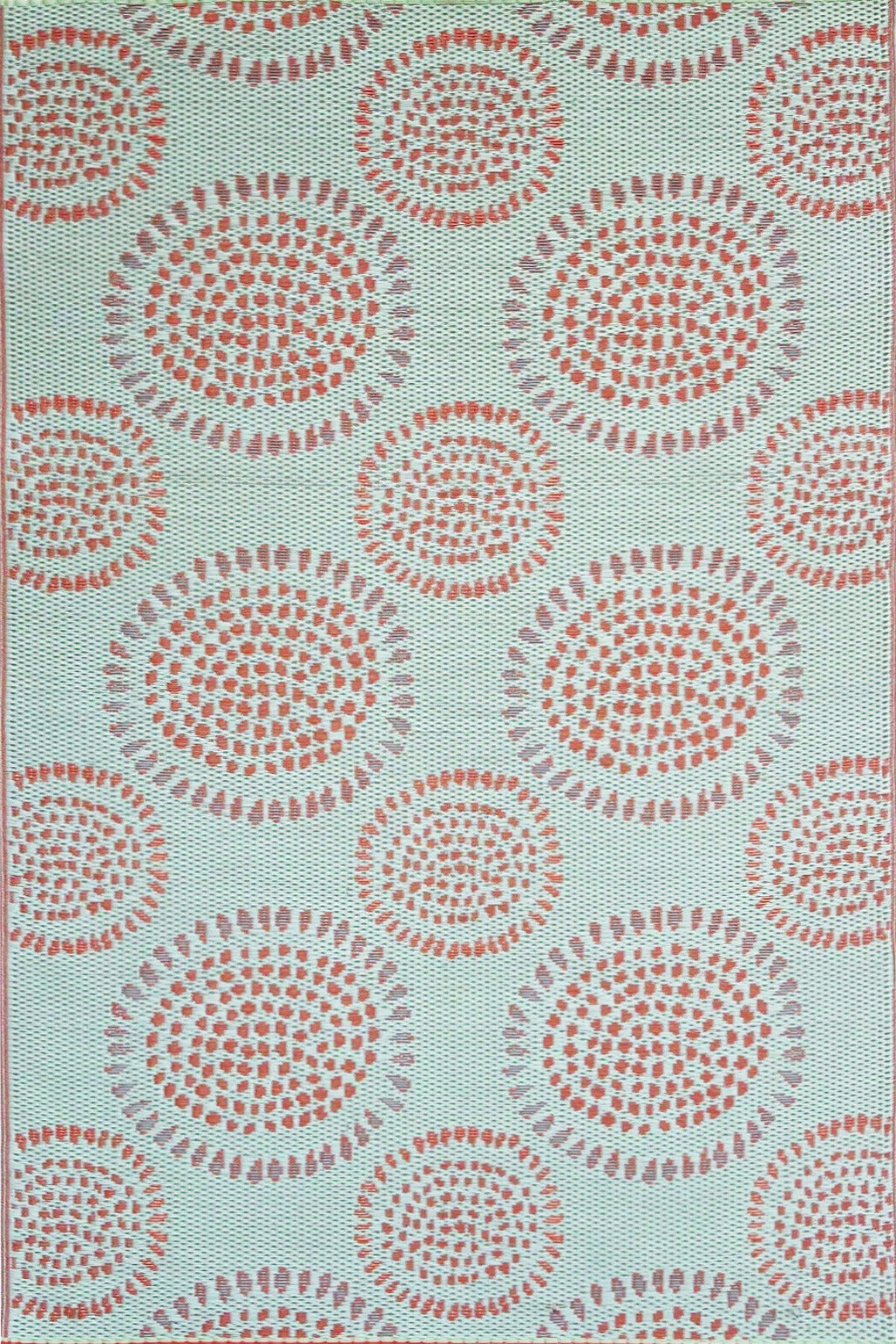 Molly Salmon Ginko