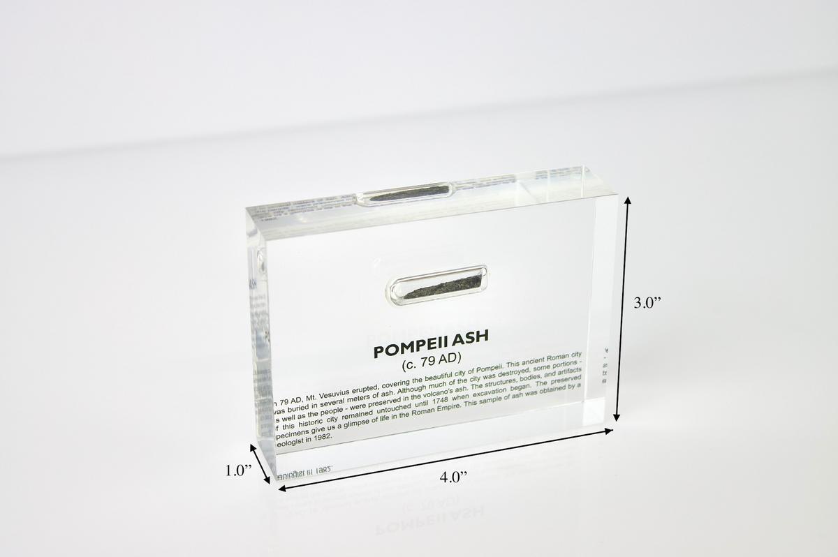 Pompeii Ash Artifact Display