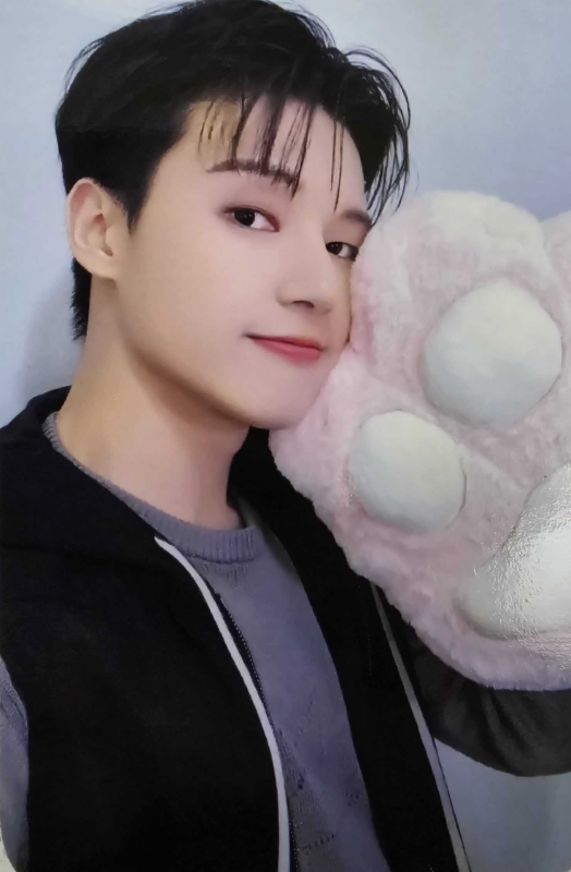 ATEEZ Golden Hour - Official Pob Photocards (Paw Version)