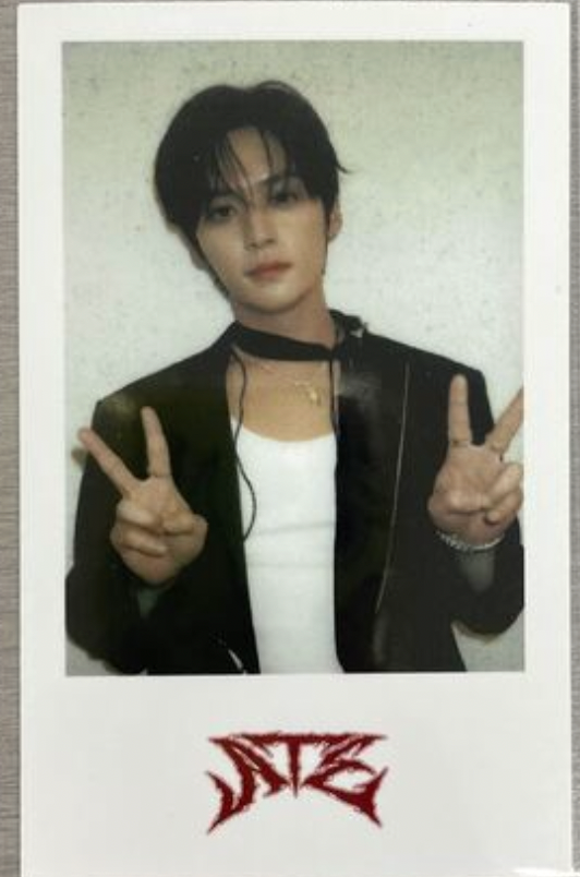 Stray Kids ATE Pop Up ExclusIVE Pob Polaroid Photocard