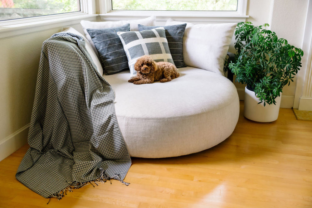 Sitota Handwoven Ethiopian Cotton Throw Blanket