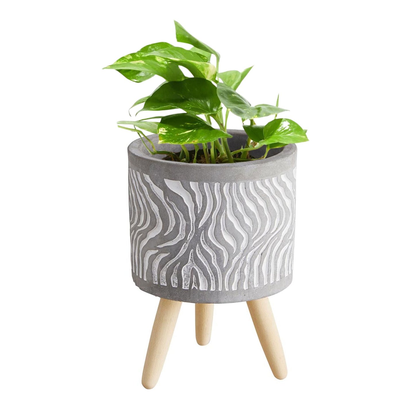 Swirl Wood Leg Pot | Cement Planter | 5.5" Tall