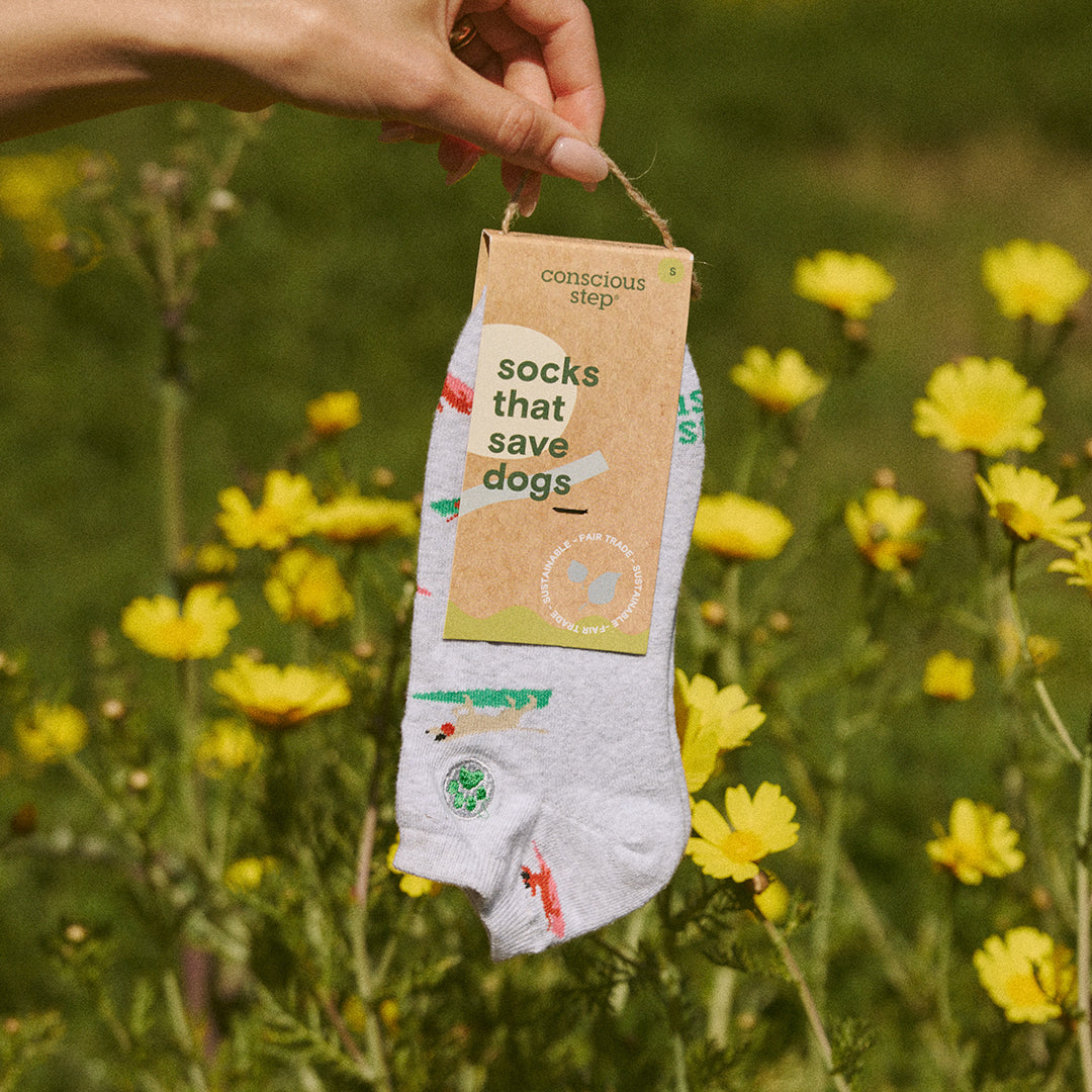 Socks that Save Dogs - Osadia Concept Store