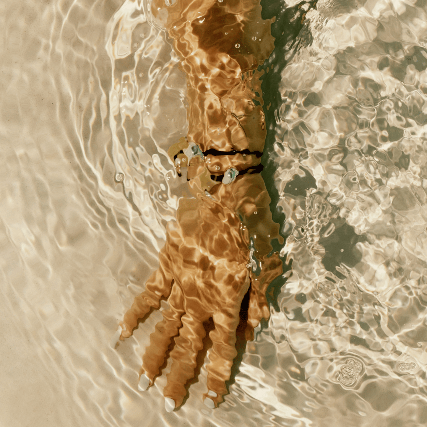 Rest + Release