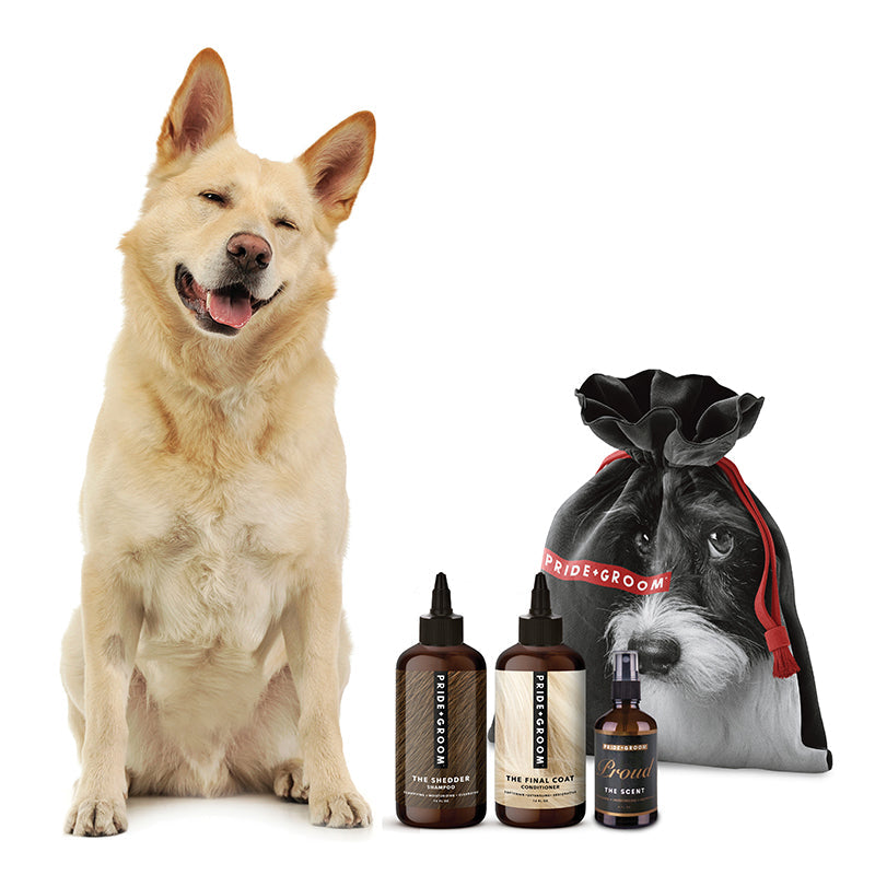 THE BIG DELUXE DOGGY BAG — Luxury Dog Grooming Kit with 16oz Coat-Specific Shampoo, Conditioner & Signature Scent