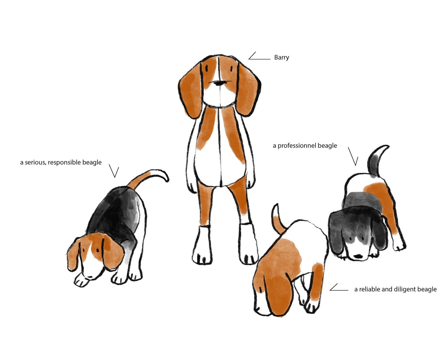 BARRY THE BEAGLE