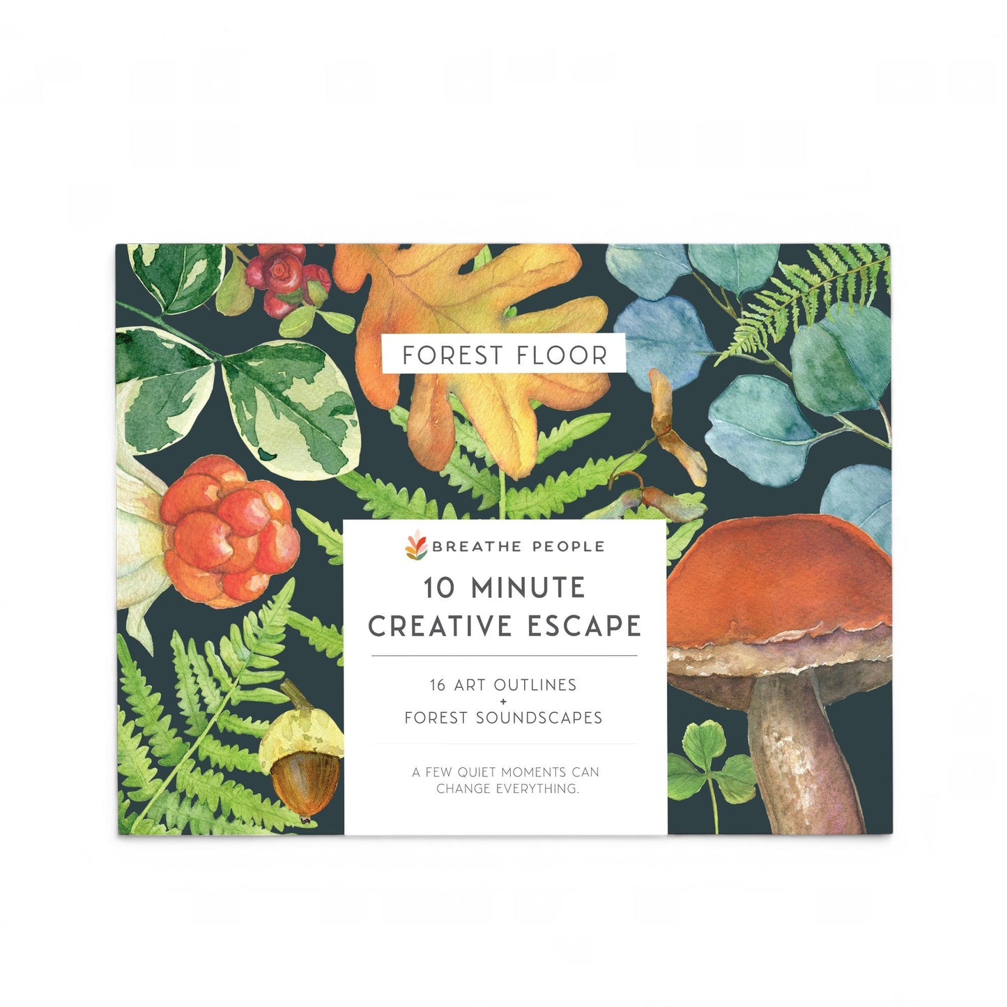 10 Minute Creative Escape Art Book — Forest Floor