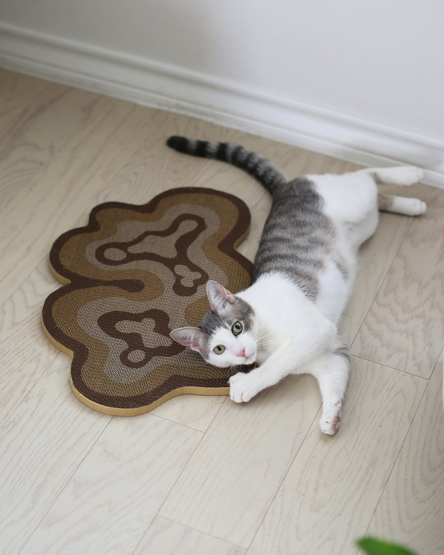Bloom Scratchers