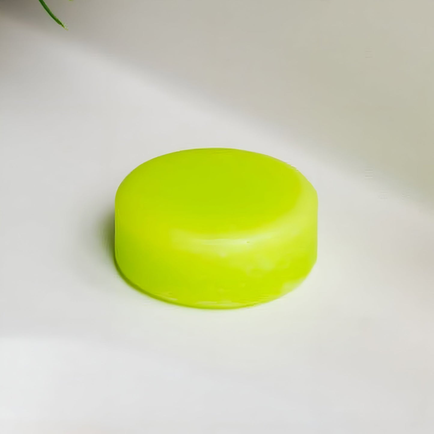 Conditioner Bar | Aloe
