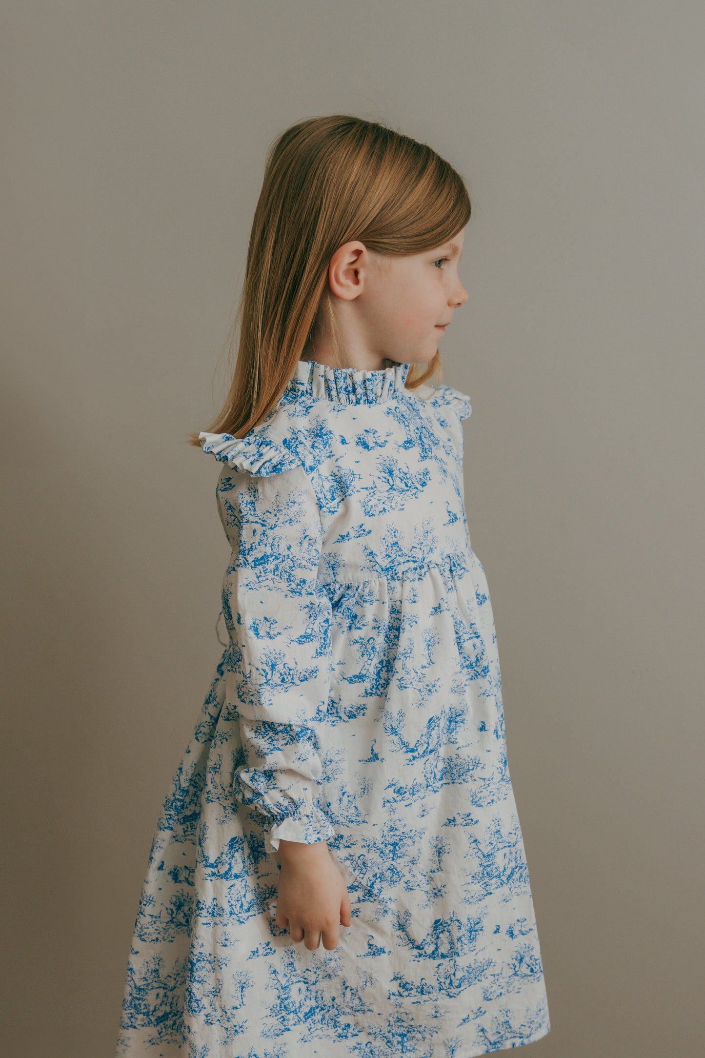 Aoki Dress-Blue Toile | Long Sleeve