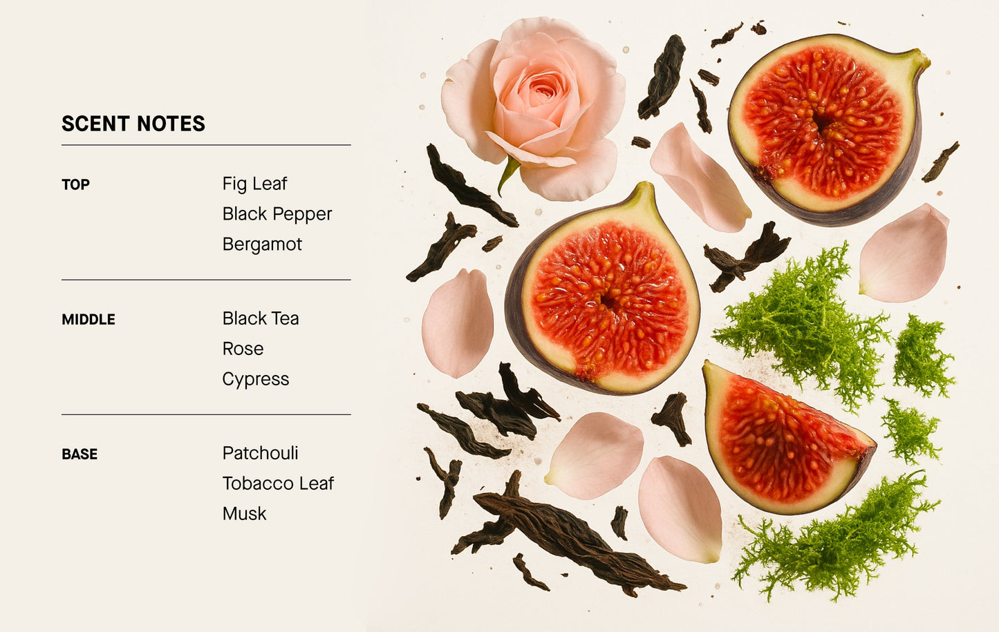 THÉ NOIR - Perfume Mist Hair & Body - 3.4 floz