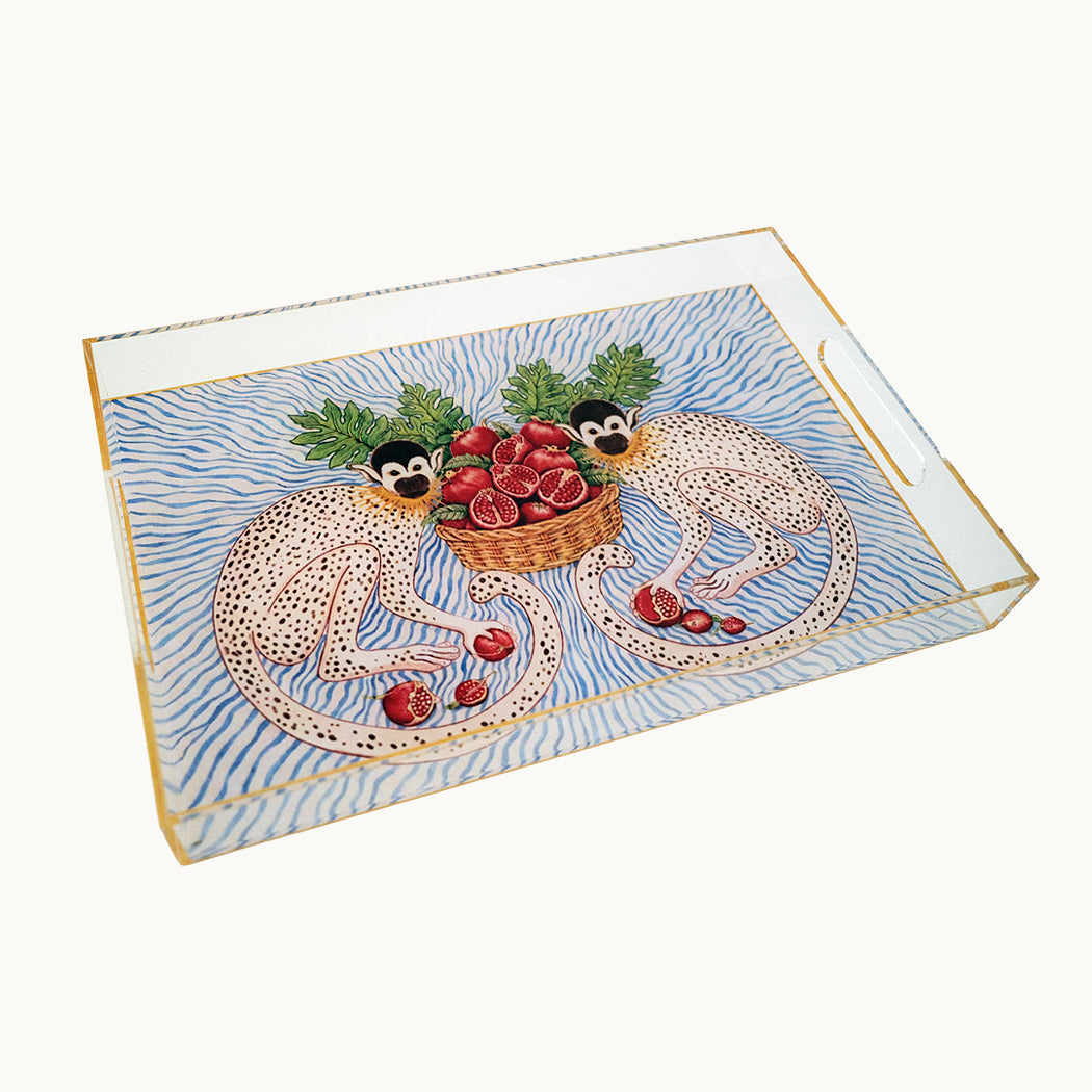 Acrylic Monkey Tray