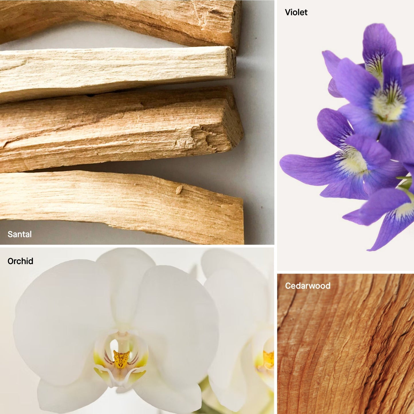 SANTAL - 16 FL OZ ROOM & LINEN SPRAY LIQUID REFILL