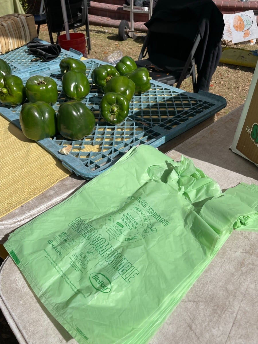 BioBag Compostable Shopping Bags with Handles 16.1x19.7in (QTY 500), SKU RegSHOP