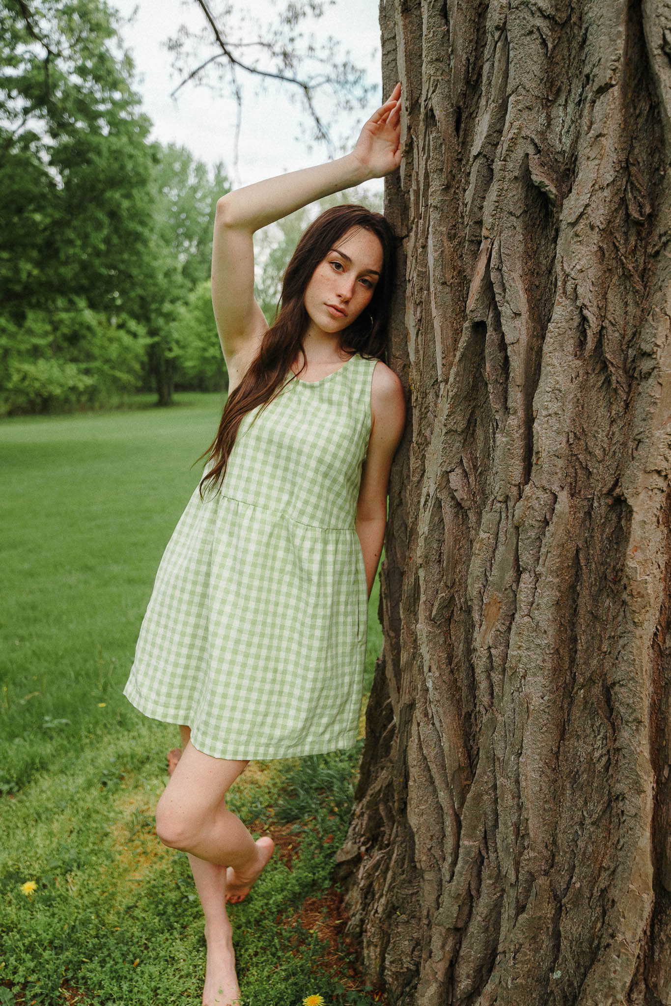 Sassafras Dress in Honeydew
