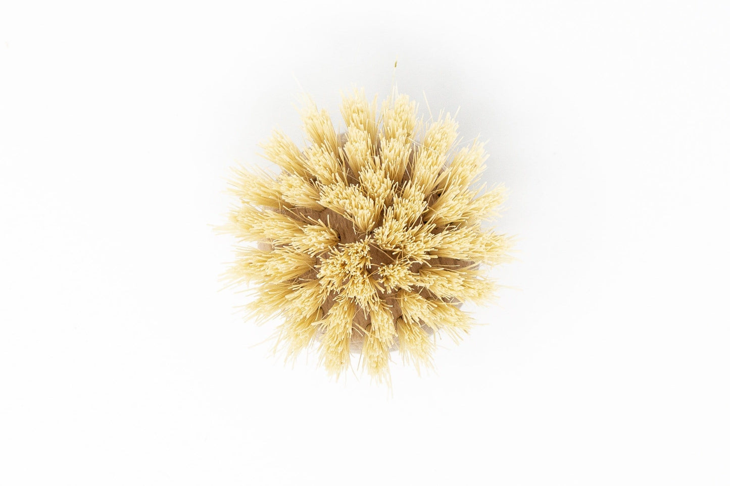 Beechwood Long Handle Dish Brush