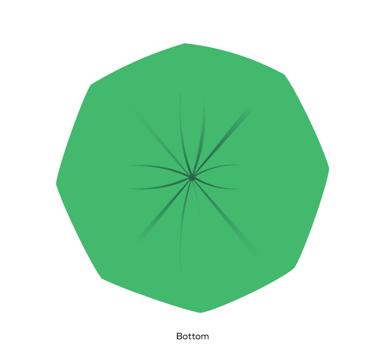 BioBag 20 Gallon Compostable Bags 26x36 (14-Roll Pack, QTY 140), SKU 20G2636 - Osadia Concept Store