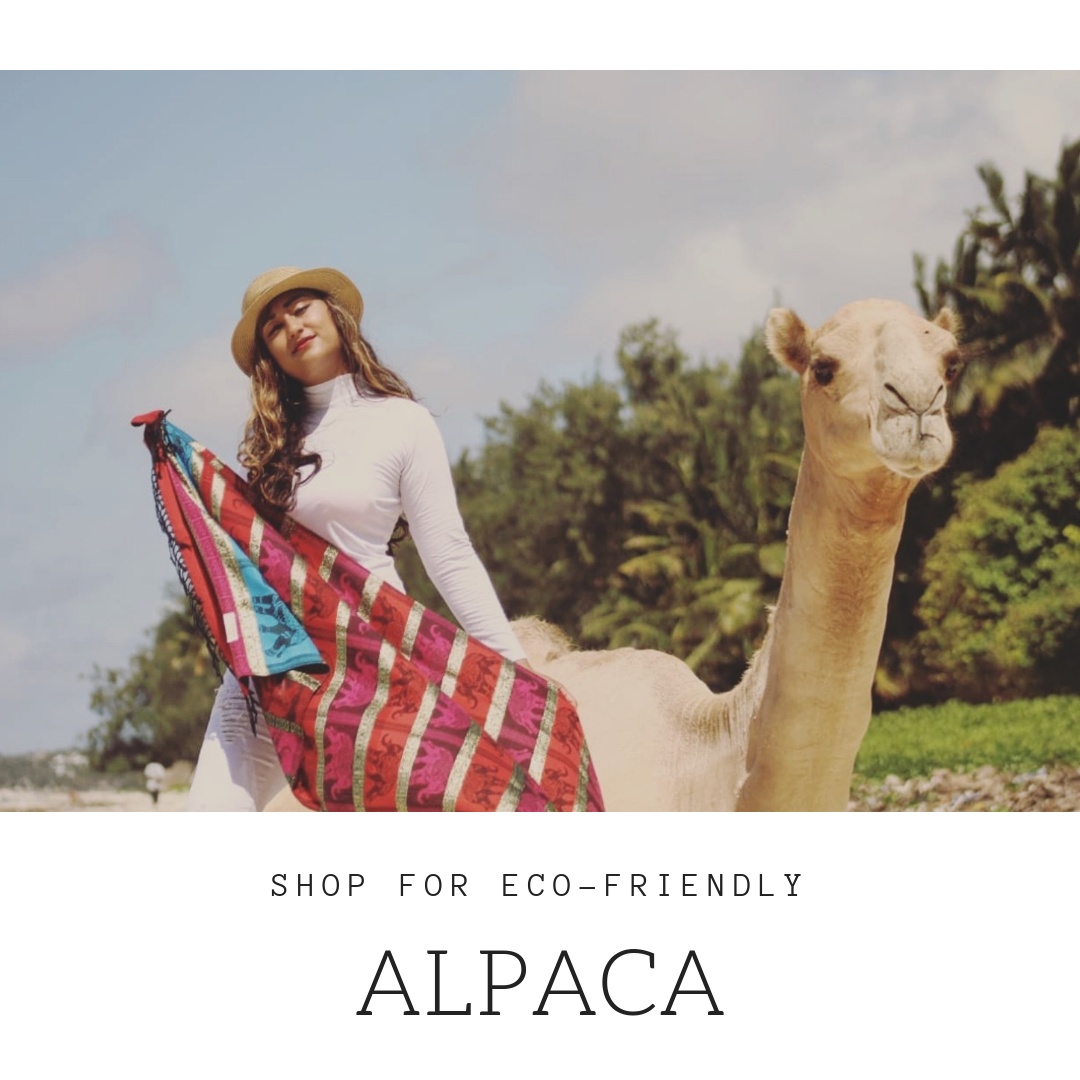 3 REASONS WHY ALPACA IS THE ULTIMATE SUSTAINABLE LUXURY WOOL