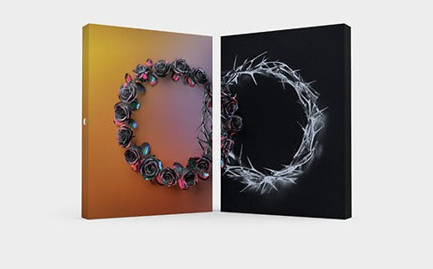 The Rose 2nd Full Album - Dual