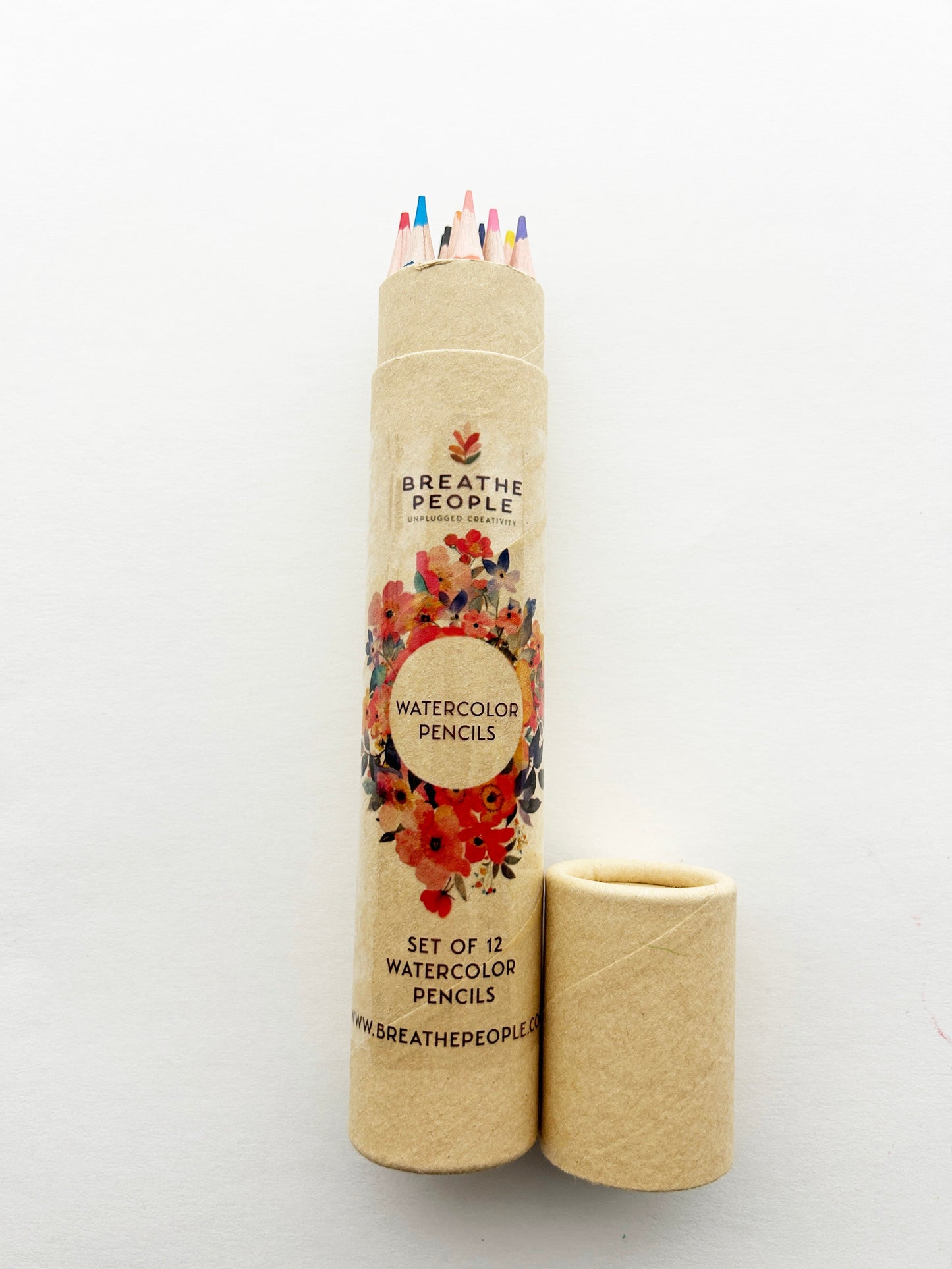 12-Color Watercolor Pencil Set for Beginner