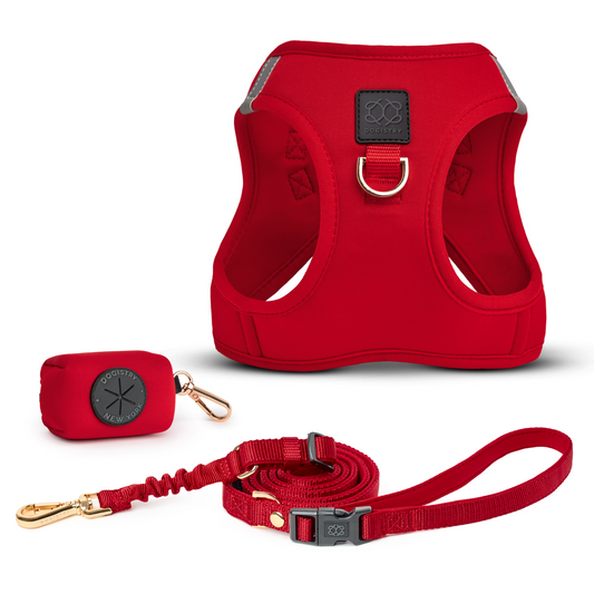 SoHo Dog Walking Set - Iconic Red