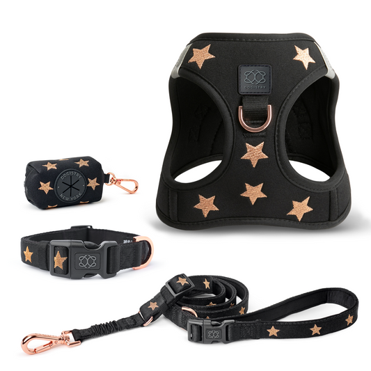 SoHo Complete Dog Walking Set - Rockstar