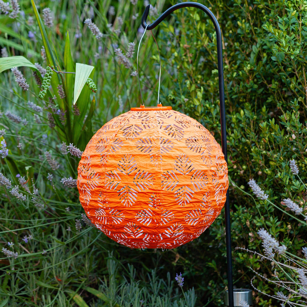 Soji Stella Brights Solar Lantern 3-pack