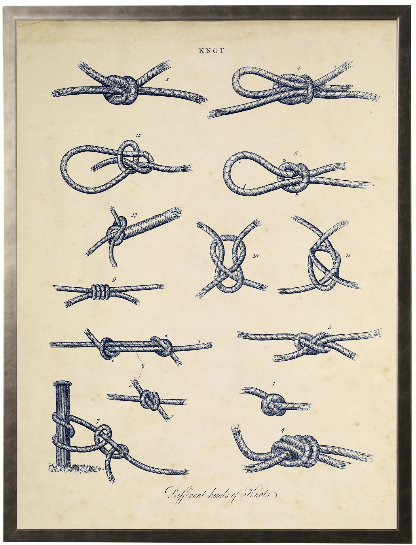 Vintage bookplate of knots in navy