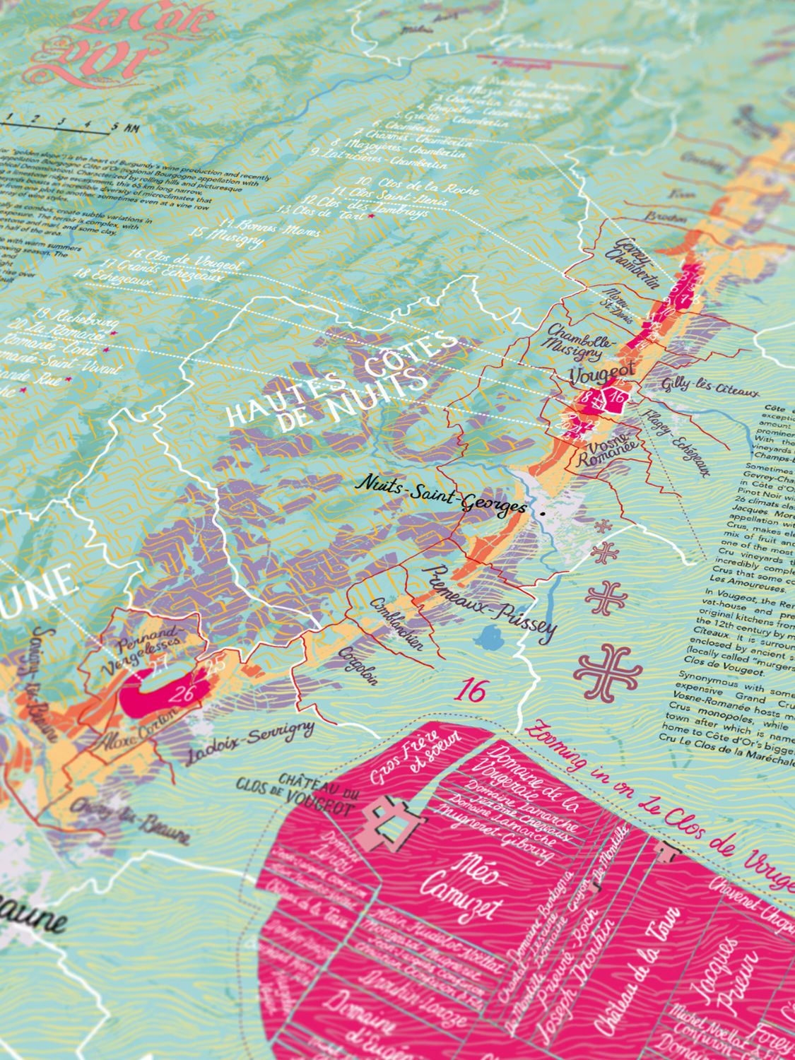 Bourgogne Wine Puzzle