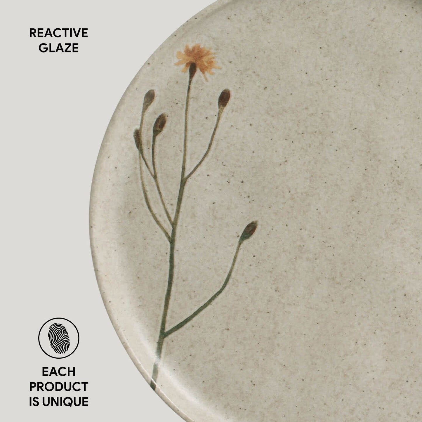 Dinner Plate Set of 6