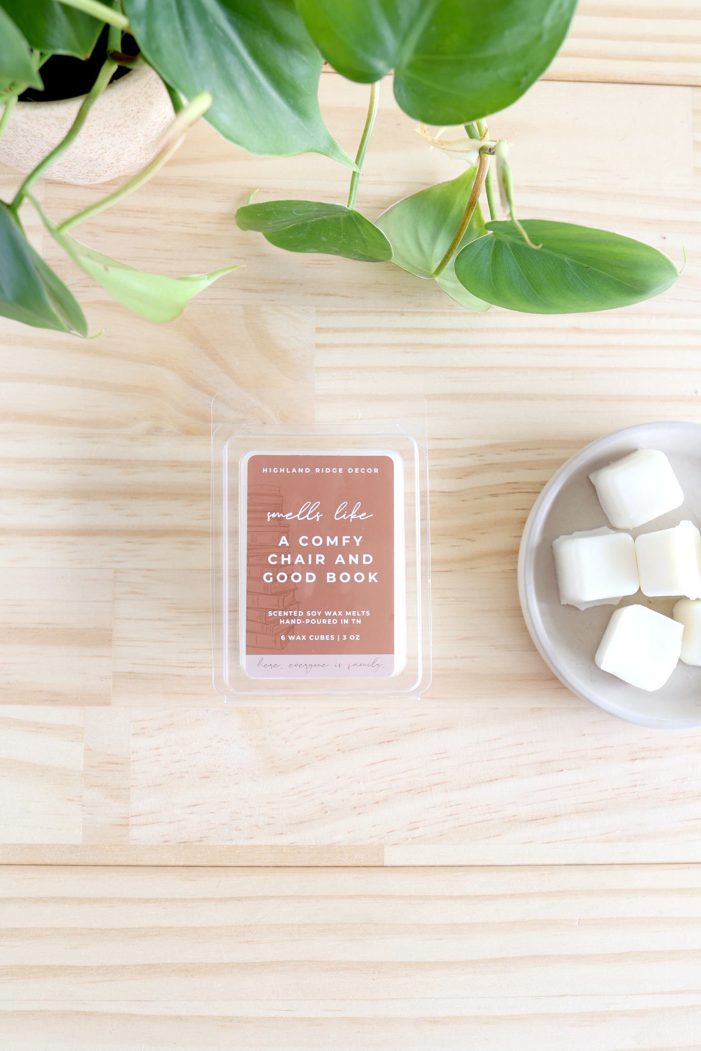 A Good Book and Comfy Chair Wax Melt