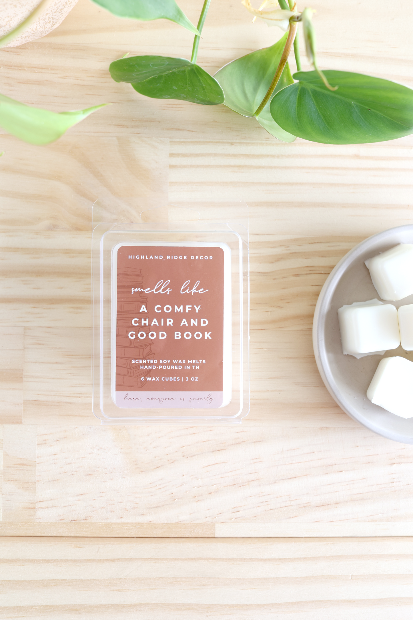 A Good Book and Comfy Chair Wax Melt